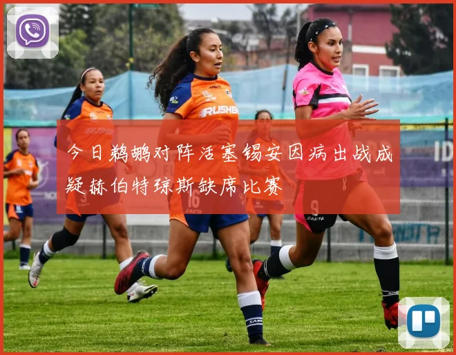 今日鹈鹕对阵活塞锡安因病出战成疑赫伯特琼斯缺席比赛